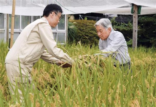 Nhật hoàng Akihito: “Gần gũi với dân trong từng nếp nghĩ”