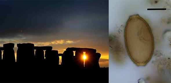 Sự thật kinh ngạc về những người xây bãi đá cổ Stonehenge 