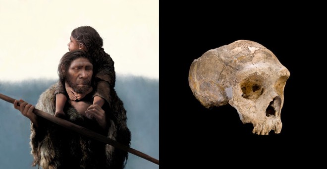 Chuyên gia "sốc" vì hóa thạch loài người Neanderthal