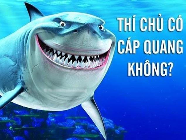 Ảnh chế cá mập cắn đứt cáp quang cười vỡ bụng