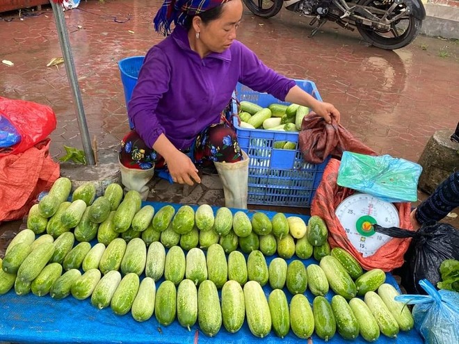 Dưa chuột siêu to khổng lồ xuống núi, đắt gấp 3 vẫn hút khách 