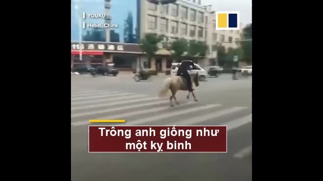 Video: Cái kết đau đớn của chàng trai cưỡi ngựa trên phố