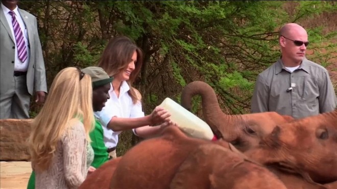 Video: Đệ nhất phu nhân Mỹ Melania Trump bị voi con húc vào người