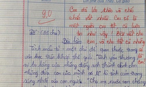 Bài văn 9 điểm về tình mẫu tử gây xúc động