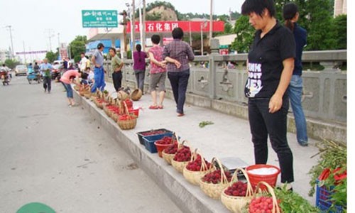 Hình ảnh quả thanh mai bán đầy đường Trung Quốc