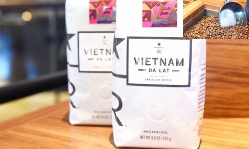 Cửa hàng Starbucks chọn bán cà phê đặc sản Đà Lạt