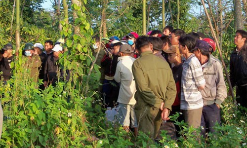 Đang săn chim, hoảng loạn khi thấy thai phụ chết treo cổ trong vườn tiêu