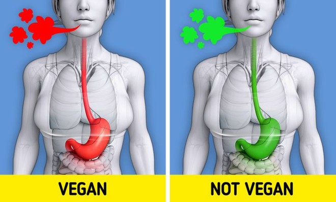 10 điều xảy ra trong cơ thể khi chúng ta ăn chay trường