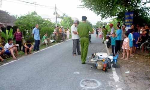 Định tội ngựa kéo xe gây tai nạn chết người