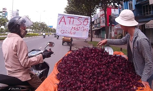 Cây bụi vùng quê thành 'thần dược' trên phố Sài Gòn