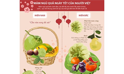 Infographics Sự khác nhau của mâm ngũ quả miền Nam và miền Bắc