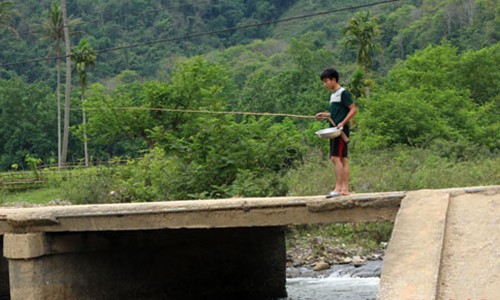 Độc đáo câu cá bằng... trứng kiến 