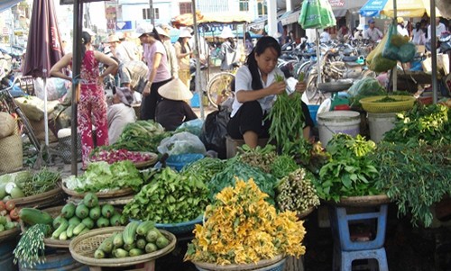 Đổ xô đi mua thực phẩm tích trữ phòng bão số 1