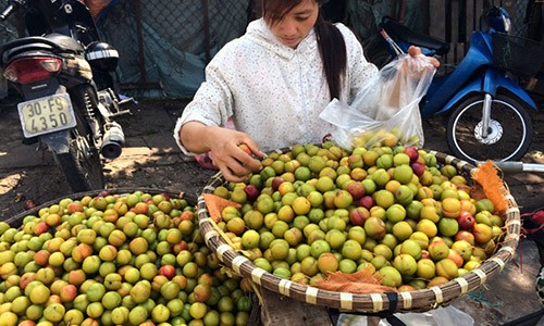 Những loại hoa quả Trung Quốc giả hàng "made in Việt Nam"