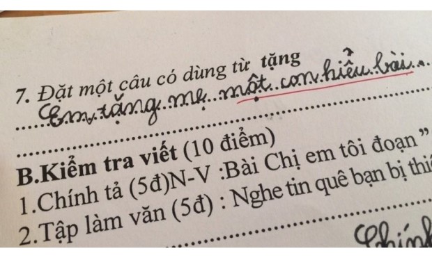 Học sinh đặt câu “Em tặng mẹ một con hiểu bài“ gây sốt