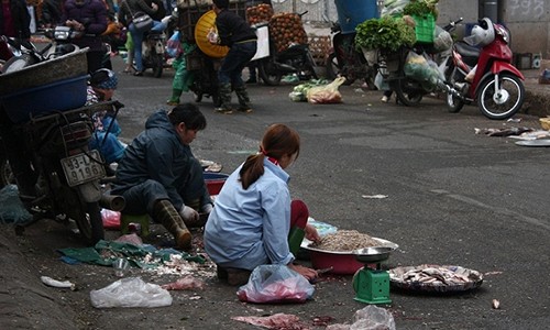 Dân tràn ra đường đánh vảy cá, vặt lông gà giữa HN