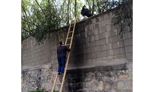 “Cò du lịch” Trung Quốc xúi du khách vượt tường trốn vé vào vườn thú