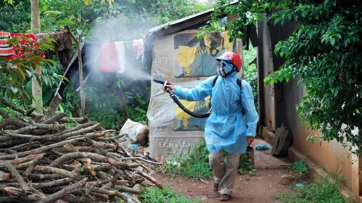 TP HCM tăng cường biện pháp diệt muỗi phòng bệnh do Zika