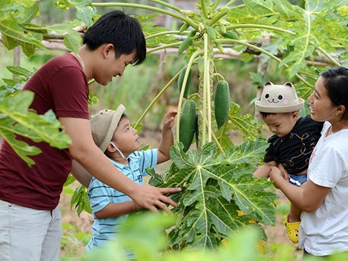 Bi kịch vợ chồng khắc khẩu