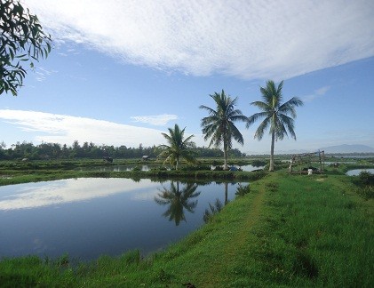 Vợ chồng “phố“