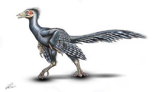 Giải bí ẩn loài chim cổ Archaeopteryx