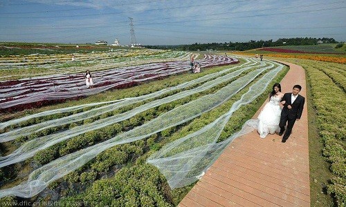 Ngỡ ngàng cô dâu trẻ diện chiếc váy cưới dài 4km