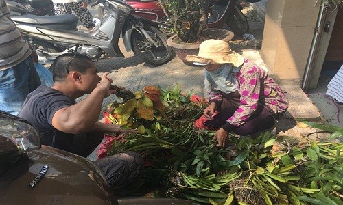 Chợ phiên lan rừng bán theo cân giữa Đà Nẵng