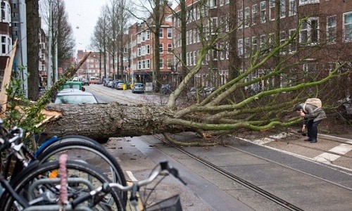 Hà Lan: Gió cực mạnh thổi người bay như lá cây