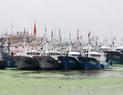 Âm mưu đằng sau lệnh cấm đánh bắt cá mùa hè của Trung Quốc