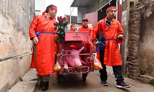 Làng Ném Thượng có tiếp tục chém lợn trong Tết Kỷ Hợi 2019?