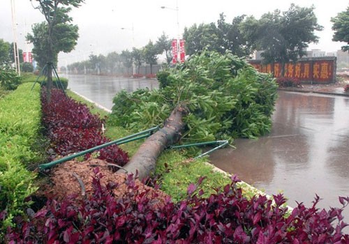 Siêu bão Haiyan tấn công miền Trung, đe dọa miền Bắc