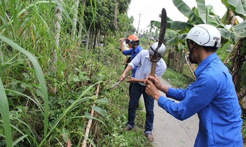 Rùng mình loạt côn trùng, sinh vật lạ “tấn công” dân Việt