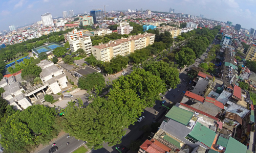 Điểm danh loạt tuyến đường huyết mạch HN bị chặt hết cây