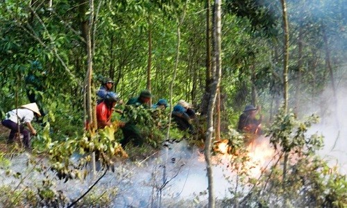 Tham gia chữa cháy, hạt phó hạt kiểm lâm tử vong