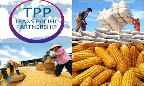 Những điều ít biết về hiệp định thế kỷ TPP 