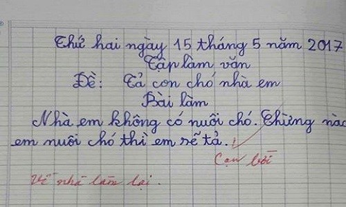 Bài văn “bá đạo“: Học sinh cạn ý, cô giáo… cạn lời