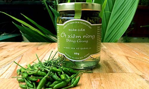 Ớt rừng siêu đắt 300.000 đồng/kg có gì đặc biệt?