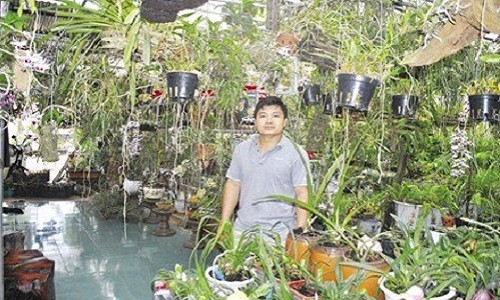 Tỷ phú lan rừng Việt Nam tìm ra loài lan mới 