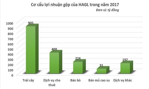 Sau “quả ngọt” U23, bầu Đức đón tin vui từ kết quả kinh doanh