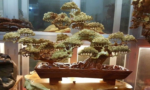 Mê tít những chậu bonsai gỗ cầu kỳ, tinh xảo