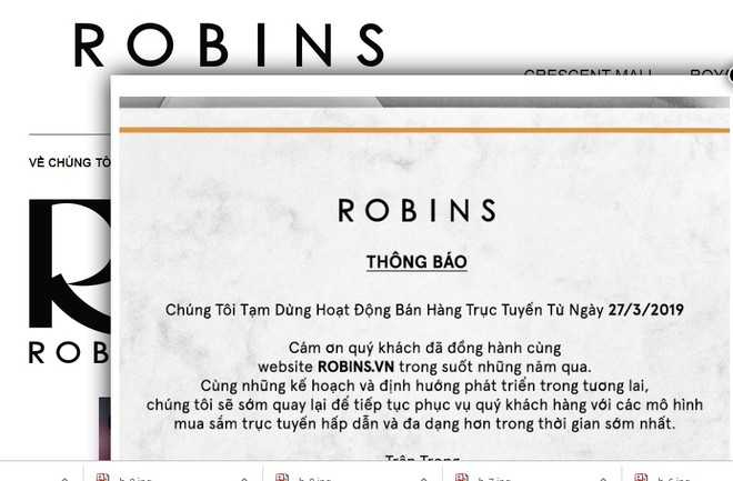 Robins online hoành tráng thế nào trước khi đóng cửa ở Việt Nam?