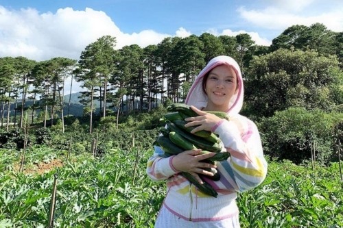 Vung tay mua liền 50 hecta đất Đà Lạt trồng rau ăn, Lý Nhã Kỳ giàu cỡ nào?