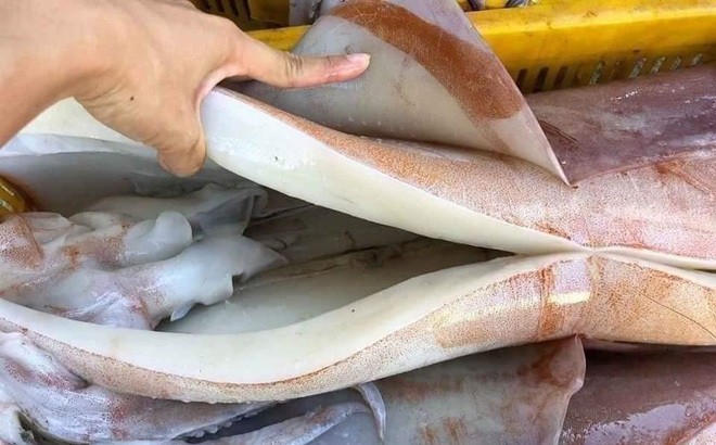 Dân buôn tiết lộ bất ngờ về loại mực khổng lồ bán rẻ 55.000 đồng/kg đang gây 'sốt'