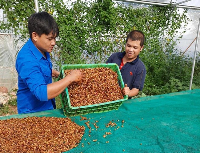 Cất bằng Đại học về quê khởi nghiệp, chàng trai lãi trăm triệu/năm 