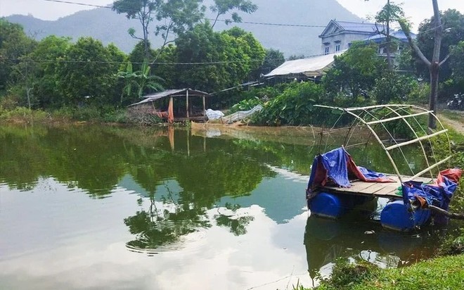 Ông bà đi chăn trâu, 2 anh em ruột ở nhà ngã xuống ao tử vong