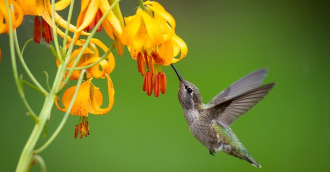 Những gười sinh ngày Âm lịch này một đời viên mãn, phúc lộc dư dả 