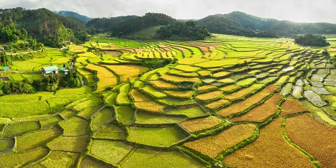 Hành trình khám phá Măng Đen - Đà Lạt thu nhỏ giữa lòng Tây Nguyên