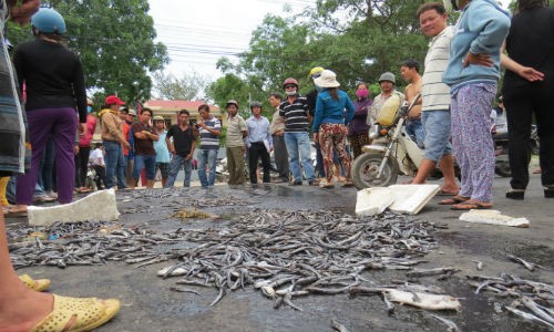 Tắc quốc lộ vì dân đổ cá chết phản đối cần trục