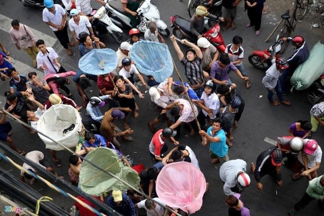 Hàng trăm người tranh giành 20 triệu tiền lẻ rơi xuống đường