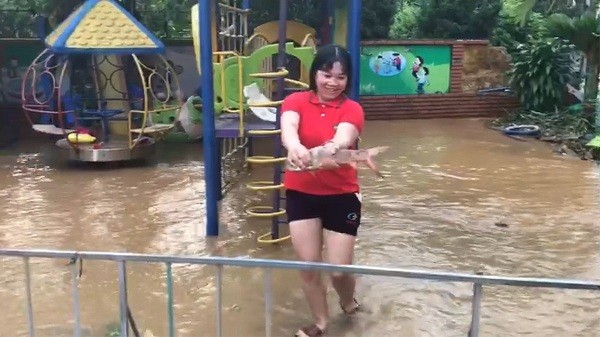 Video: Sau ngập lụt kinh hoàng, người dân TP Hà Giang đua nhau bắt cá